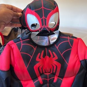 Amazing Spiderman costume